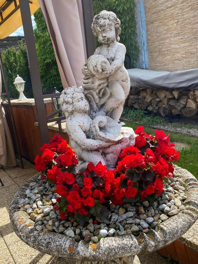 Penzion Vila Petra Bed&Breakfast Veľký Slavkov Екстериор снимка